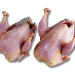 Pigeon (Kobutor) Meat